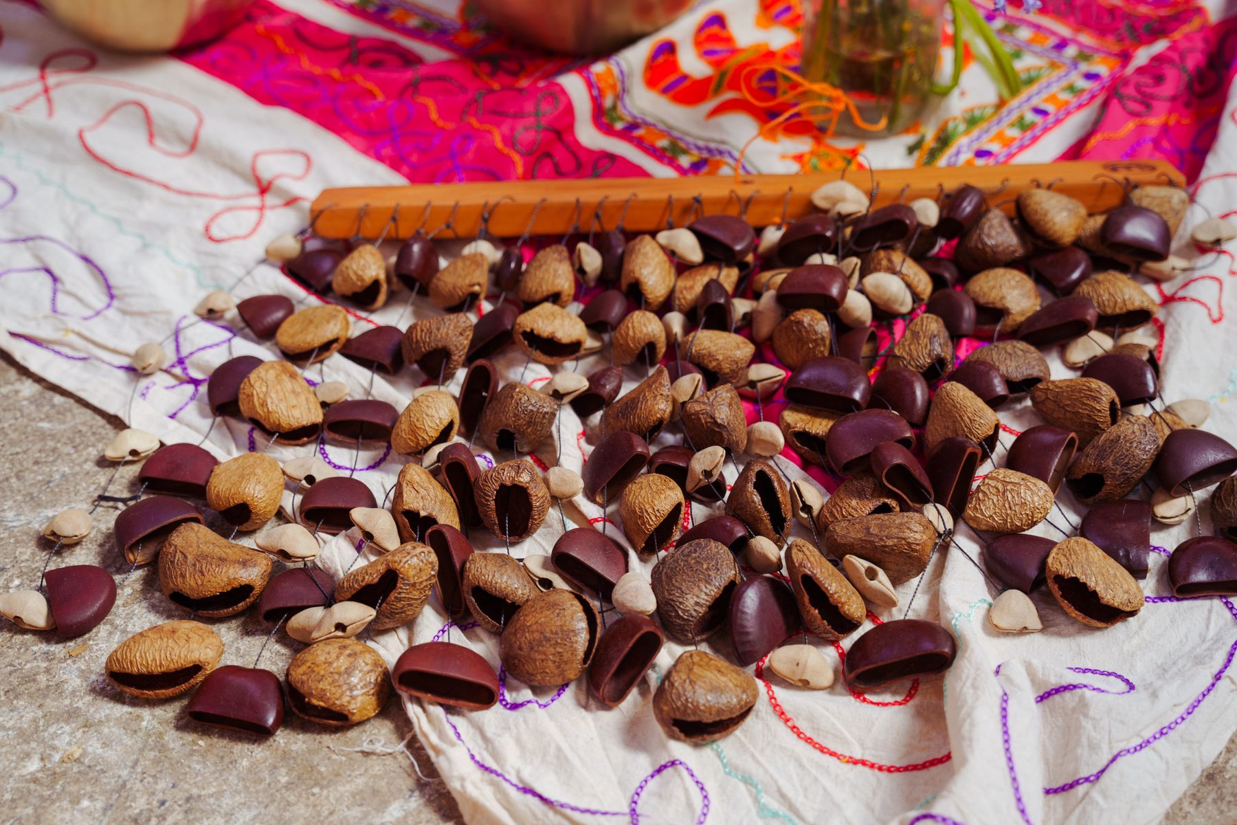 Seed pods gathered on embroidered cloth